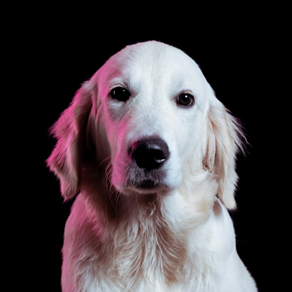 Mitarbeiter Foto Kathrin